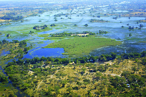 okavango